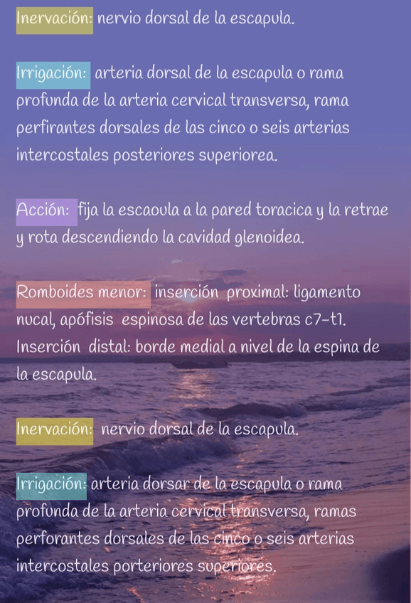 Miniatura del documento Screenshot20220719-152811Easy-Notes.jpg