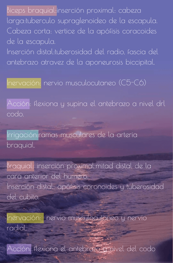 Miniatura del documento Screenshot20220719-180043Easy-Notes.jpg