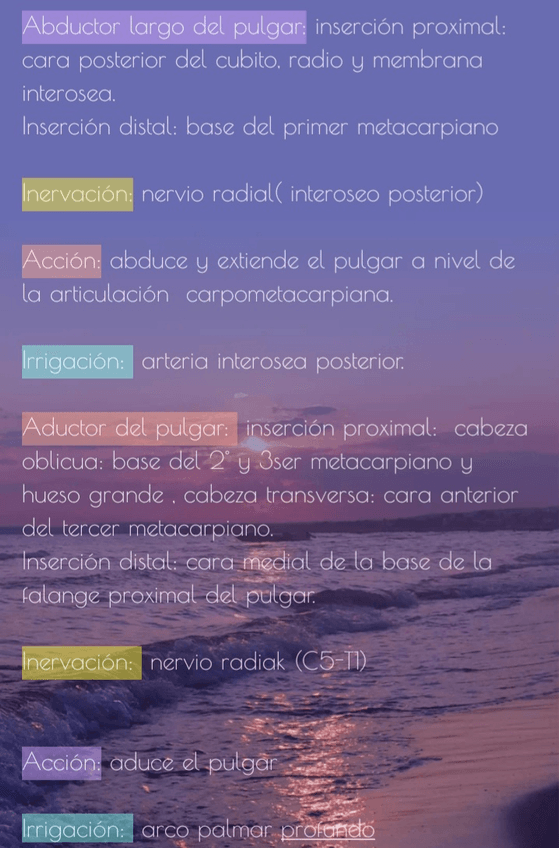 Miniatura del documento Screenshot20220719-172216Easy-Notes.jpg