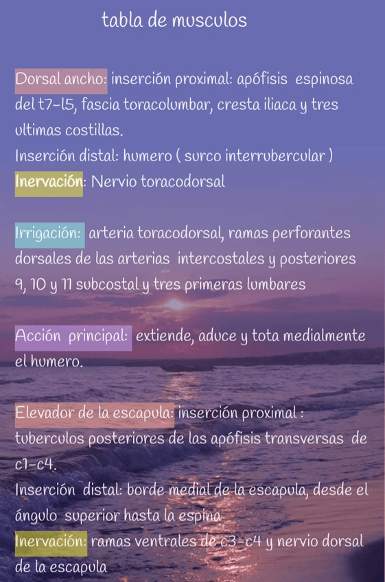 Miniatura del documento Screenshot20220719-144313Easy-Notes.jpg