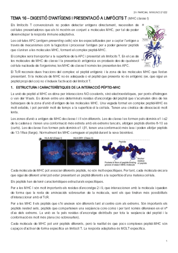 Miniatura del documento 2n-PARCIAL-IMMUNO.pdf