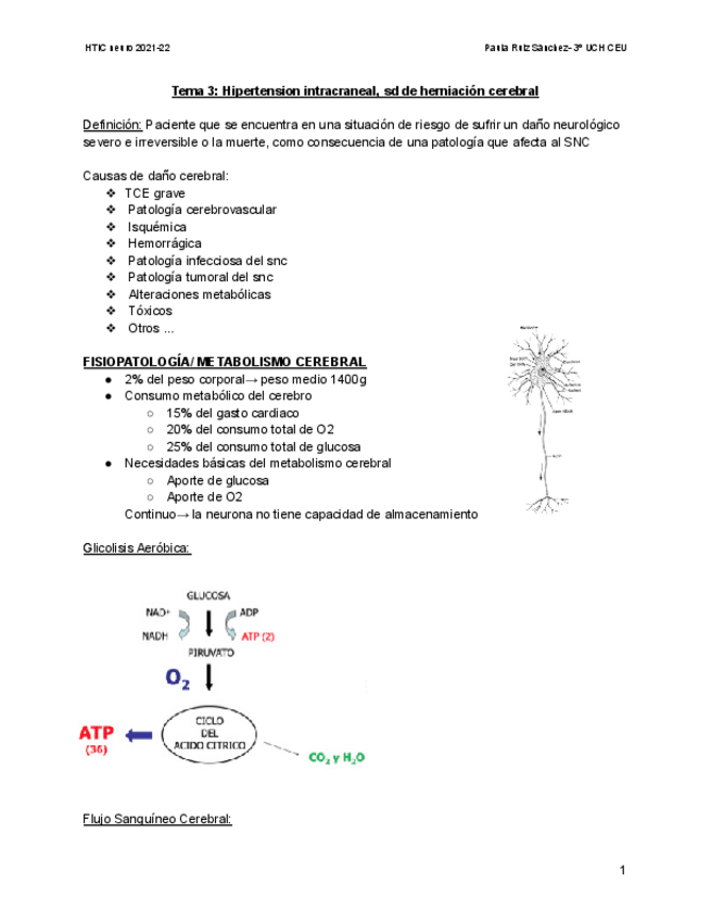 Miniatura del documento Hipertension-intracraneal.pdf