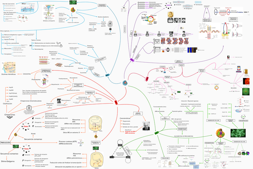 Miniatura del documento mapa-mental.pdf