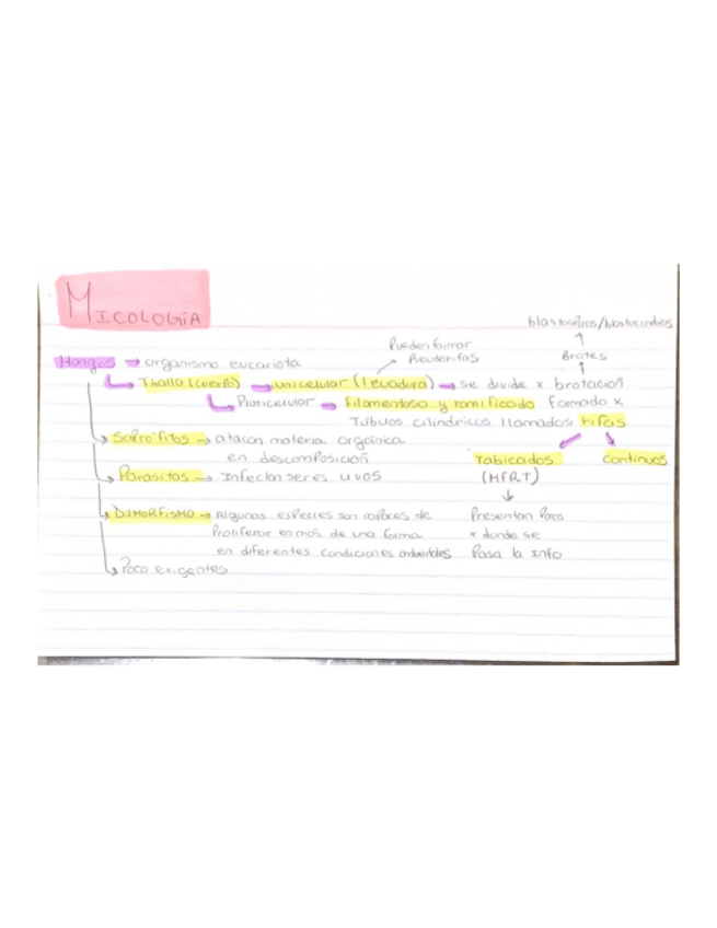 Miniatura del documento MICOSIS