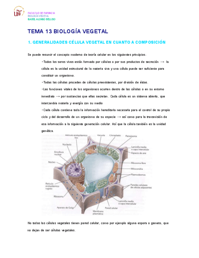 Miniatura del documento TEMA 13 BIOLOGÍA VEGETAL.pdf