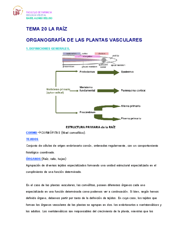 Miniatura del documento TEMA 20 LA RAÍZ.pdf