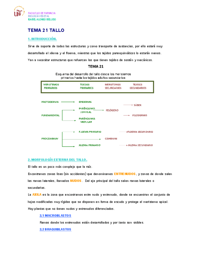 Miniatura del documento TEMA 21 BIO VEGETAL.pdf