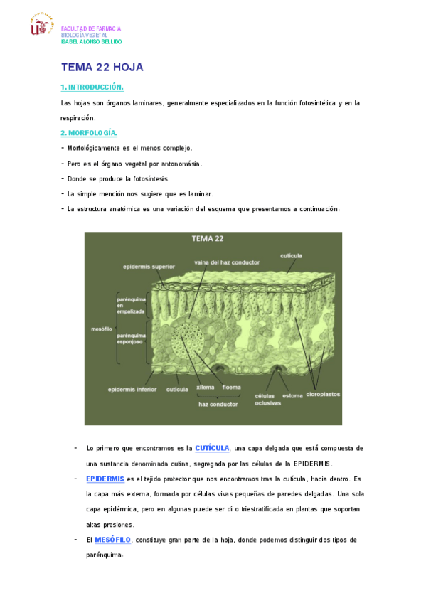 Miniatura del documento TEMA 22 HOJA.pdf