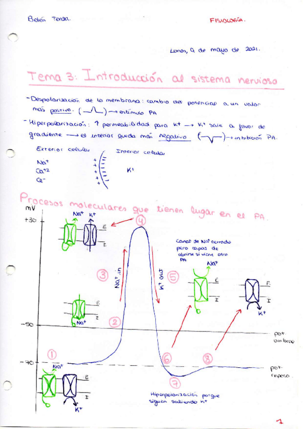 Miniatura del documento Esquemas-Fisiologia.pdf