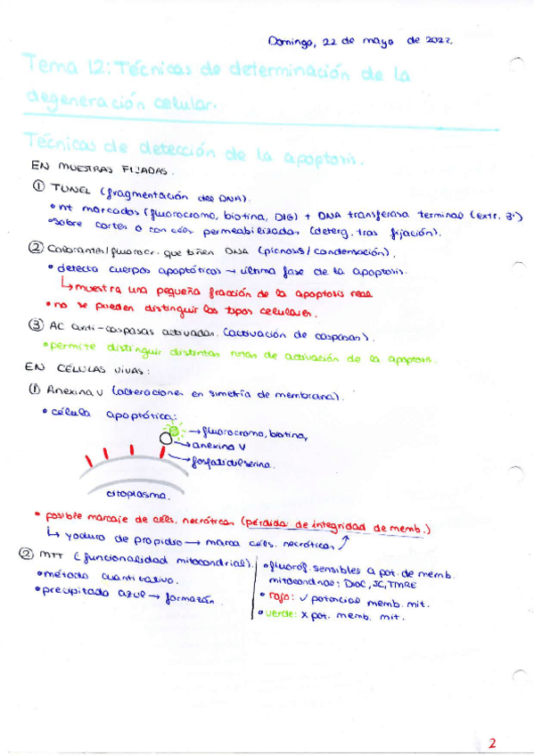 Miniatura del documento Esquemas-TAC.pdf
