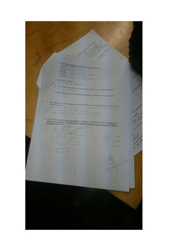 Miniatura del documento ZooExamenSolucions.pdf