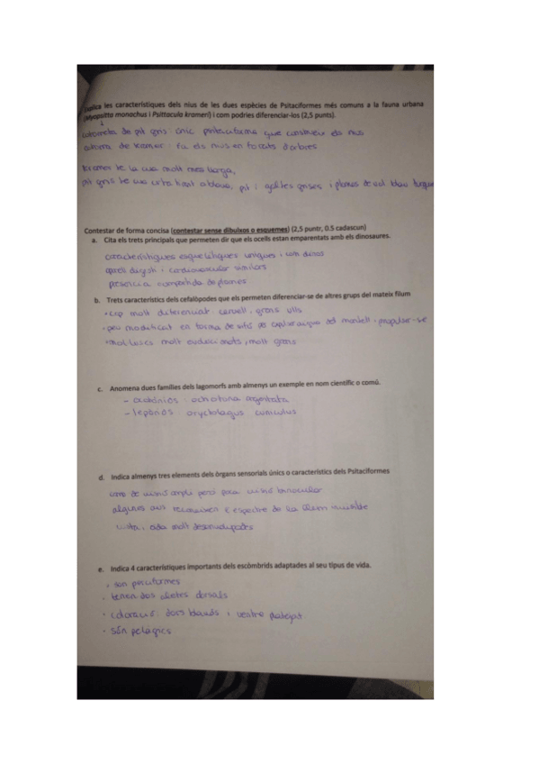 Miniatura del documento ZooPreguntesCurtes.pdf