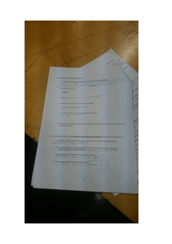 Miniatura del documento ZooPreguntesCurtesCorregides.pdf