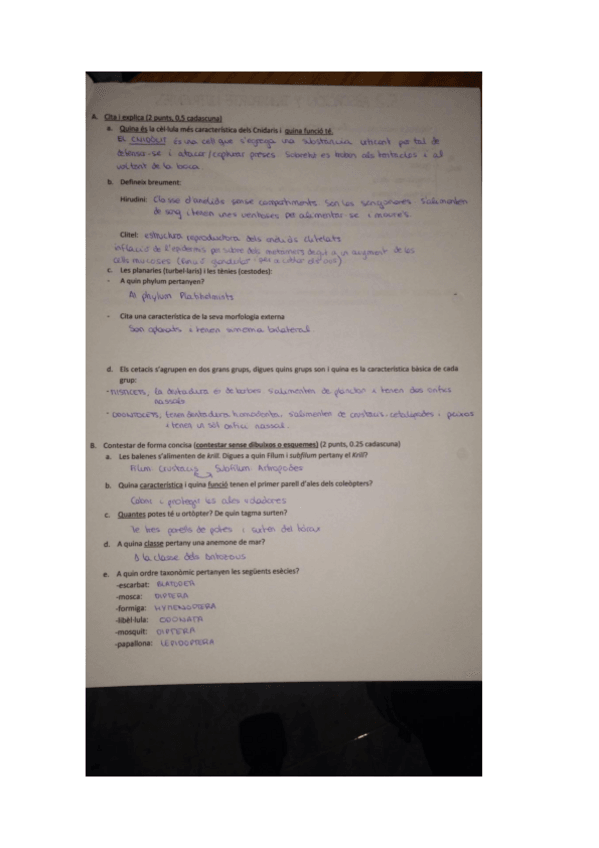 Miniatura del documento ZooPreguntesCurtesII.pdf