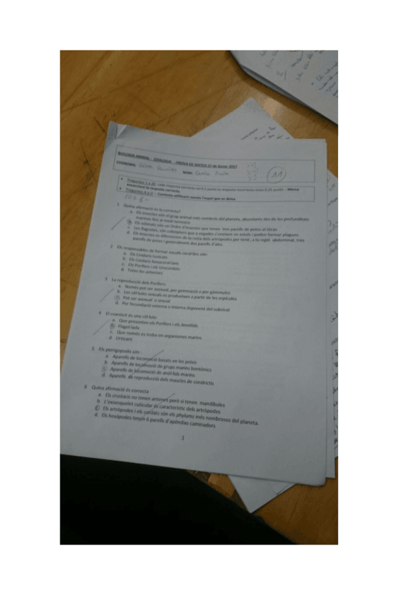 Miniatura del documento ZooTestRespostesII.pdf