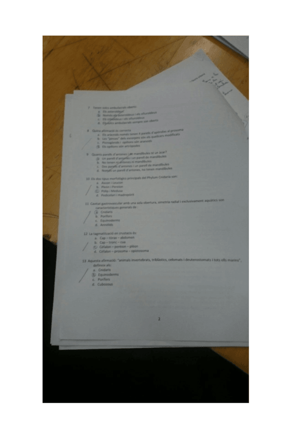 Miniatura del documento ZooTestRespostes.pdf