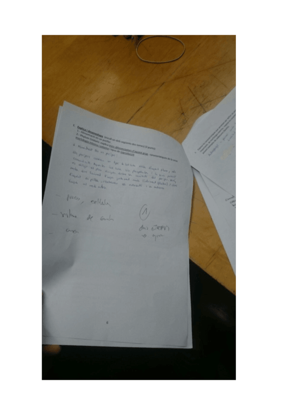 Miniatura del documento ZooPreguntaLlarga.pdf