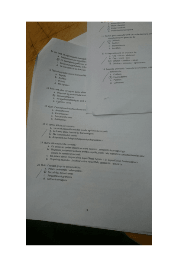 Miniatura del documento ZooTestsCorregits.pdf