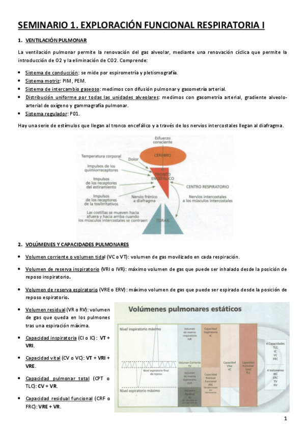 Miniatura del documento SEMINARIOS-NEUMOLOGIA.pdf