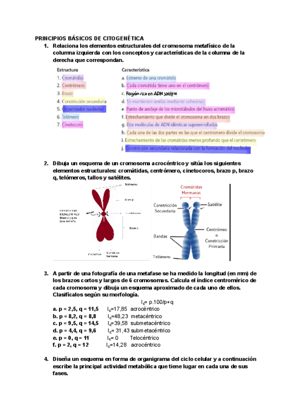 Miniatura del documento PRINCIPIOS-BASICOS-DE-CITOGENETICA.pdf
