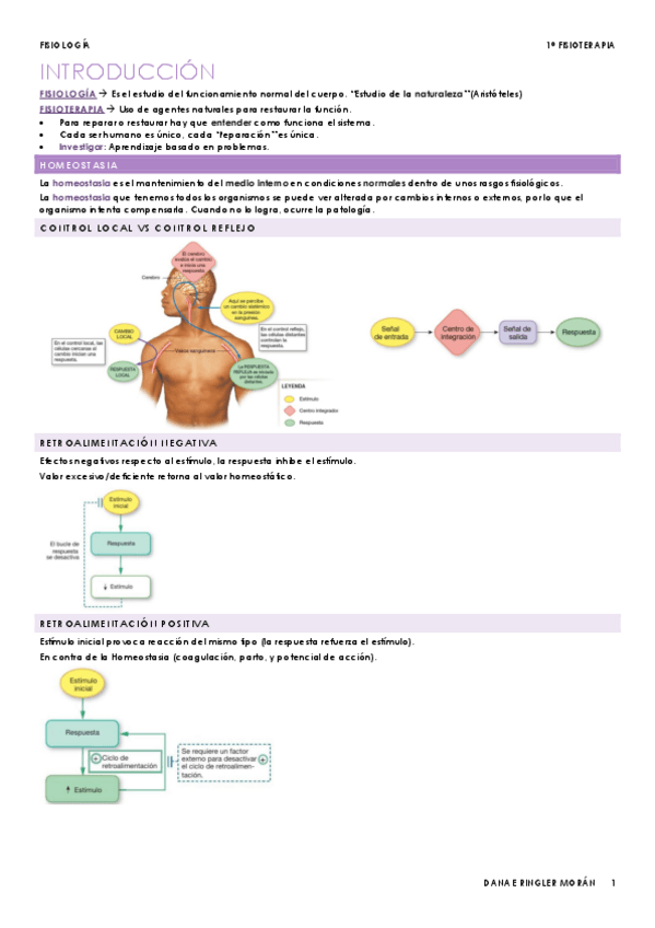 Miniatura del documento SISTEMA-ENDOCRINO.pdf