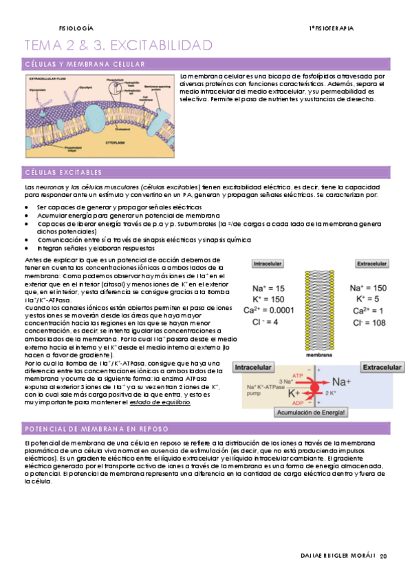 Miniatura del documento SISTEMA-NERVIOSO-.pdf