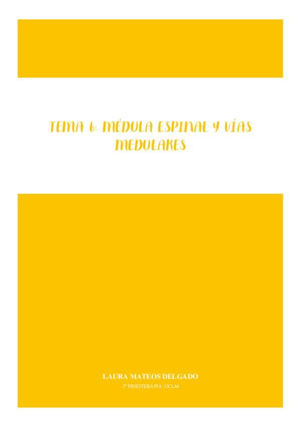 Miniatura del documento TEMA-6-MEDULA-ESPINAL-Y-VIAS-MEDULARES.pdf