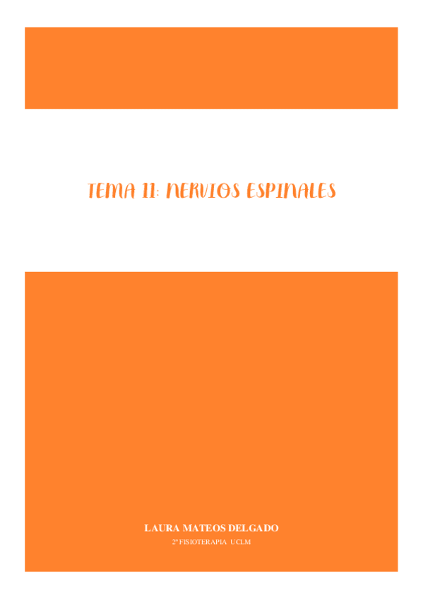 Miniatura del documento TEMA-11-Nervios-espinales.pdf