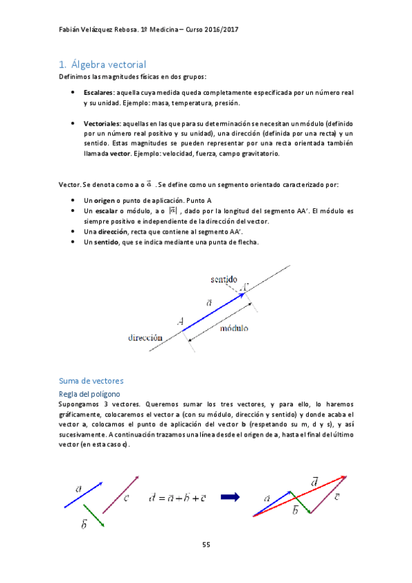 Miniatura del documento TEMA 5. CONCEPTOS FUNDAMENTALES DE BIOMECÁNICA.pdf
