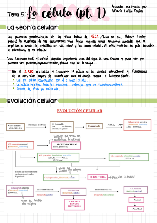 Miniatura del documento Tema-5.pdf