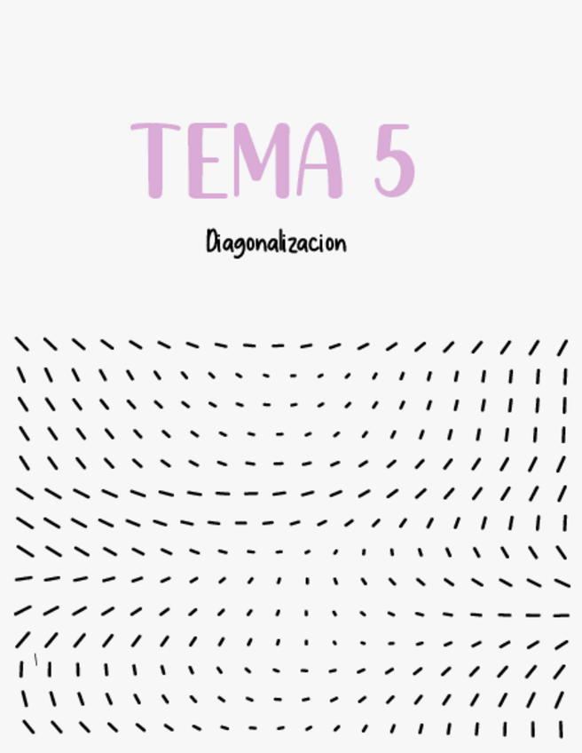 Miniatura del documento Diagonalizacion.pdf
