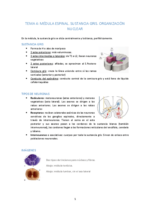 Miniatura del documento Tema 4 PDF.pdf