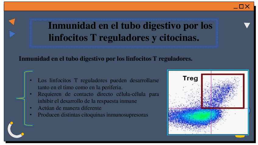 Miniatura del documento INMUNIDAD-ESPECIALIZADA-EN-LAS-BARRERAS.pdf