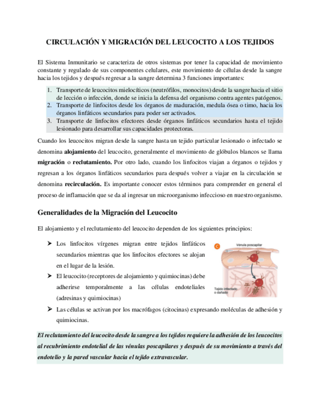 Miniatura del documento MIGRACION-DEL-LEUCOCITO.pdf