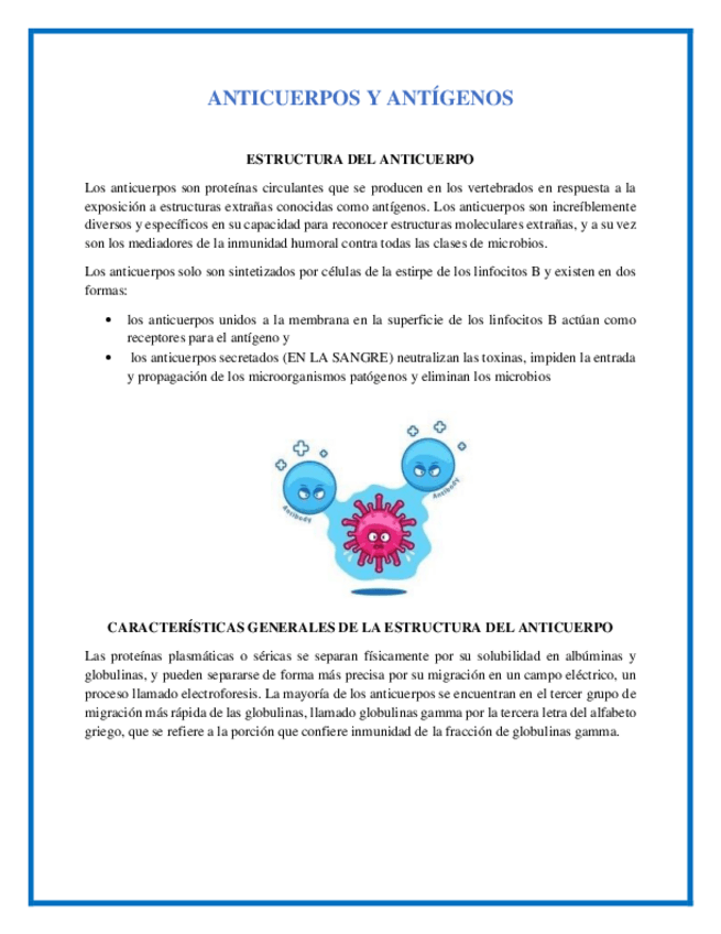 Miniatura del documento ESTRUCTURA-DEL-ANTICUERPO.pdf