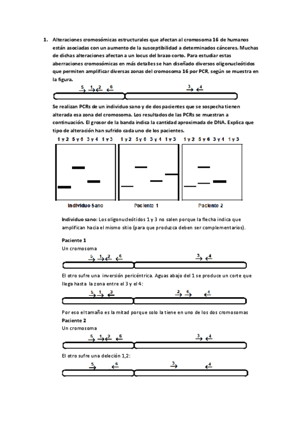 Miniatura del documento SOLUCION SERIE 5.pdf