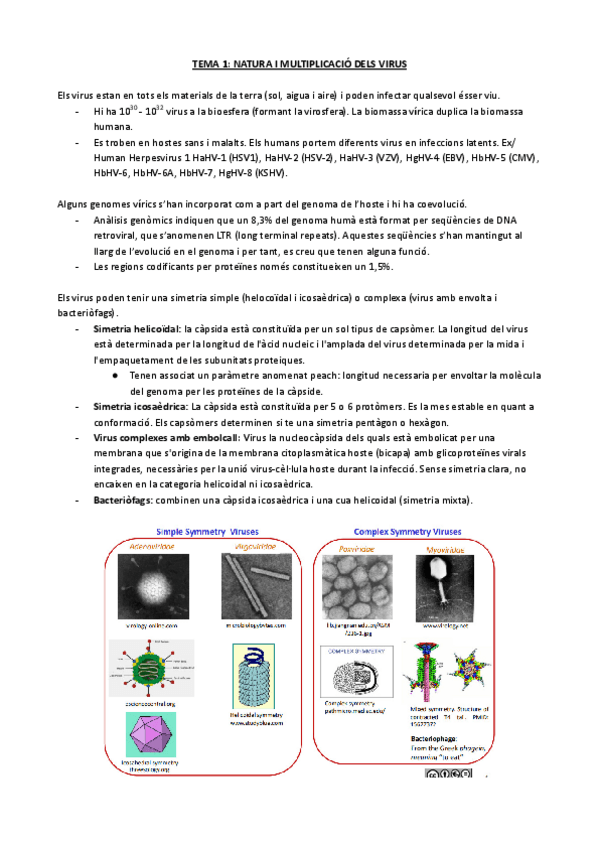 Miniatura del documento TEMA-1-NATURA-I-MULTIPLICACIO-DELS-VIRUS.pdf
