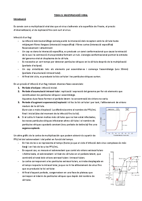 Miniatura del documento T3-MULTIPLICACIO-VIRAL.pdf