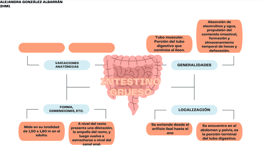 Miniatura del documento A-natomia-del-intestino-grueso.pdf