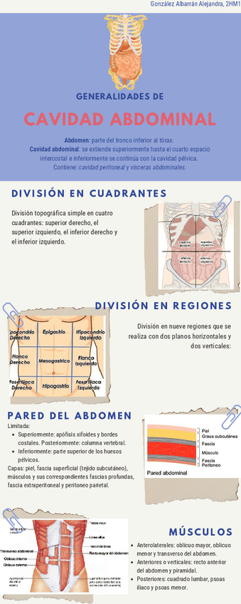 Miniatura del documento Generalidades-anatomicas-de-la-cavidad-abdominal.pdf
