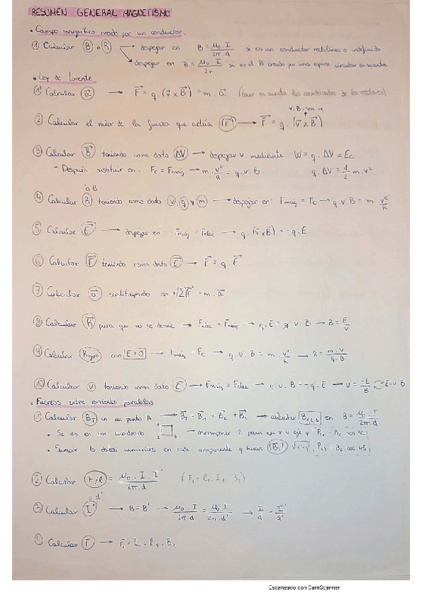 Miniatura del documento Resumen-Campo-magnetico.pdf