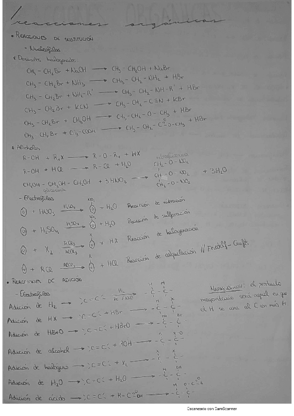 Miniatura del documento Reacciones-organicas.pdf