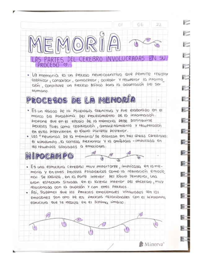 Miniatura del documento MEMORIA-LAS-PARTES-DEL-CEREBRO-INVOLUCRADAS-EN-SU-PROCESO.pdf