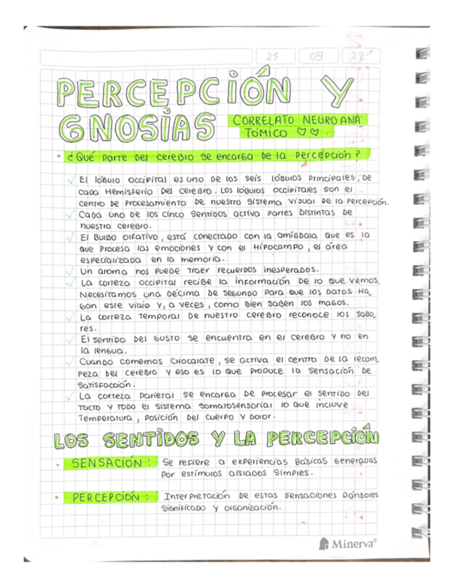 Miniatura del documento PERCEPCION-Y-GNOSIA.pdf