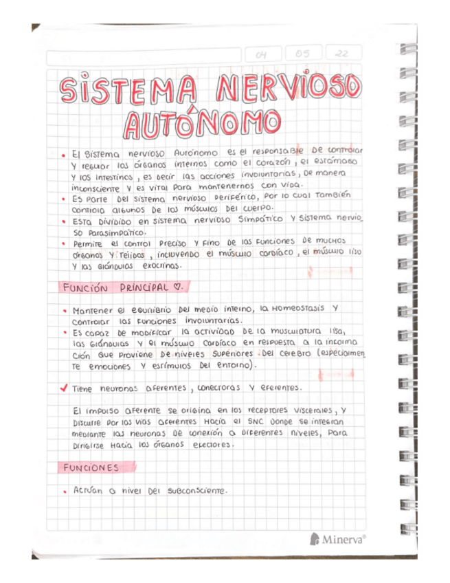 Miniatura del documento SISTEMA-NERVIOSO-AUTONOMO.pdf