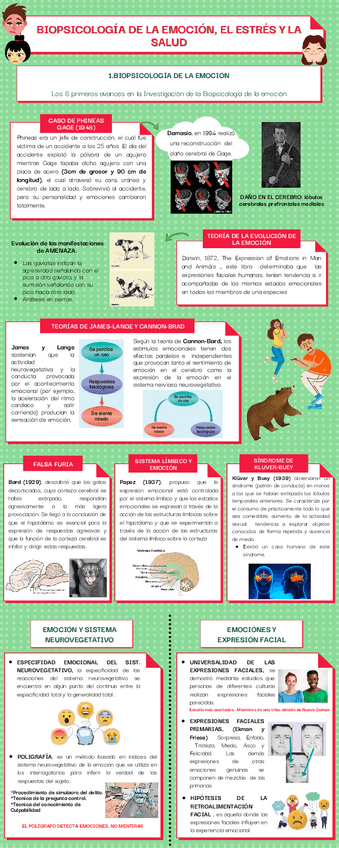 Miniatura del documento BIOPSICOLOGIA-DE-LA-EMOCIONESTRESSALUD.pdf