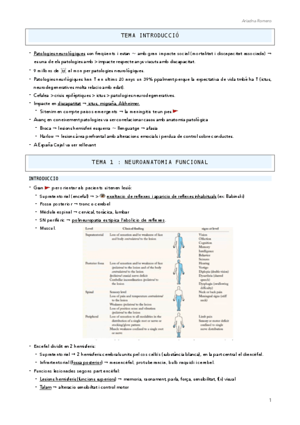 Miniatura del documento NEURO-FINAL.pdf