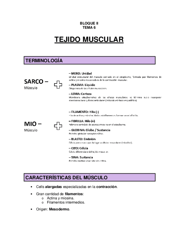 Miniatura del documento TEMA 6 - Tejido muscular.pdf