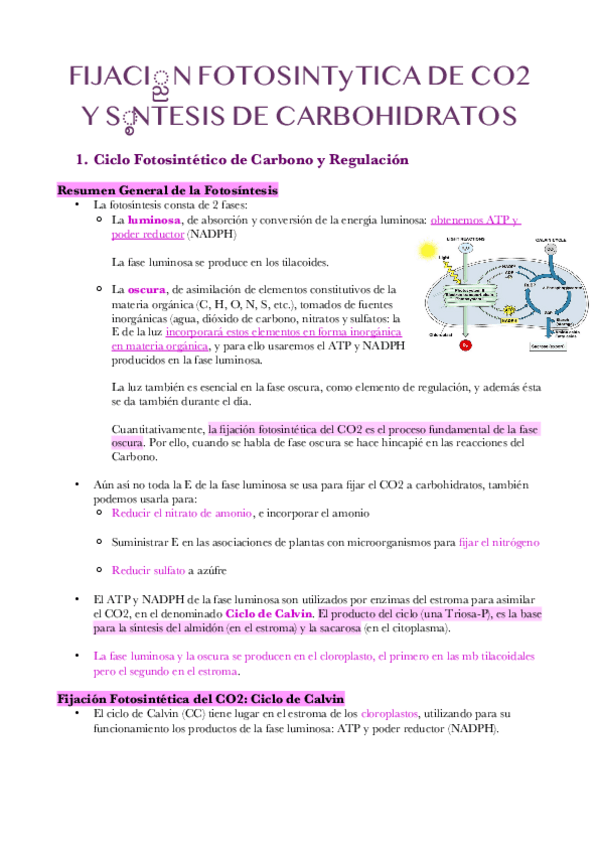 Miniatura del documento Apuntes-tema-7.pdf
