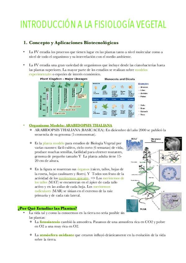 Miniatura del documento Apuntes-Tema-1.pdf